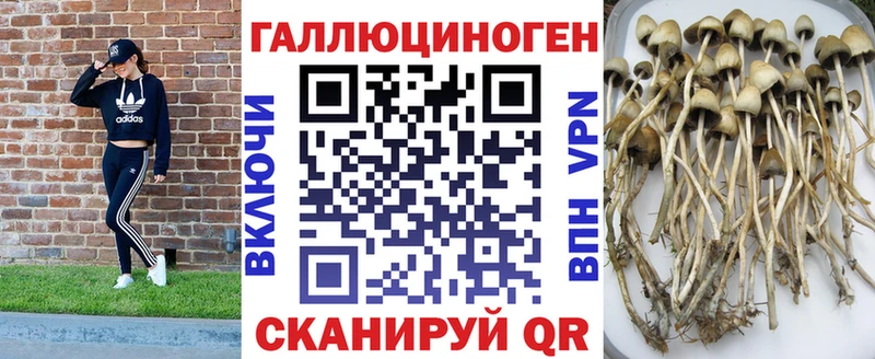 Галлюциногенные грибы MAGIC MUSHROOMS  Крымск 